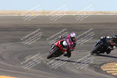 media/Mar-09-2024-SoCal Trackdays (Sat) [[bef1deb9bf]]/1-Bowl Exit (940am)/
